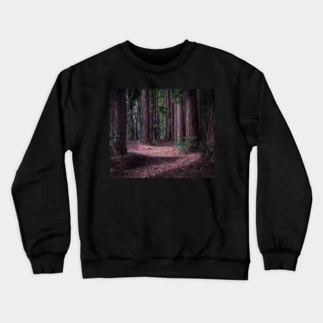 Into the Wood Crewneck Sweatshirt by LukeDavidPhoto